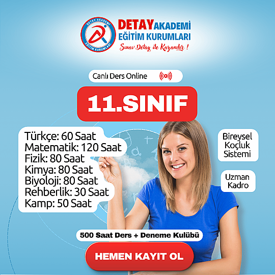 11.Sınıf Canlı Ders Online